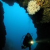 Diving Tour