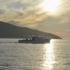 ADRIATIC PEARL TOURS from Hvar