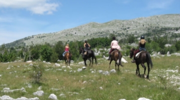 Horse Riding – Svilaja Mountain