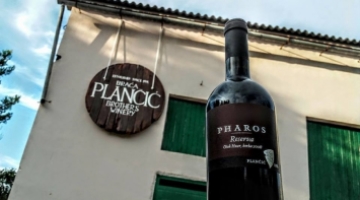 Wine tasting Plancic Hvar