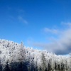 Hotel Snežna Kraljica Jahorina