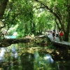 Private Krka Waterfalls Tour from Split (Eng)