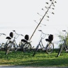 Reliable and affordable bike rental service for travelers who want to see the city on two wheels.