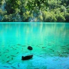 Plitvice lakes from Split