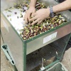 La pulizia delle foglie di olivo in pratica Napraviti video Najbolja 3 čistača lišća od maslina