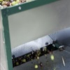 La pulizia delle foglie di olivo in pratica Napraviti video Najbolja 3 čistača lišća od maslina