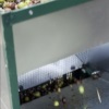 La pulizia delle foglie di olivo in pratica Napraviti video Najbolja 3 čistača lišća od maslina