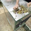 La pulizia delle foglie di olivo in pratica Napraviti video Najbolja 3 čistača lišća od maslina