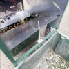 La pulizia delle foglie di olivo in pratica Napraviti video Najbolja 3 čistača lišća od maslina