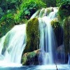 Plitvice Lakes National Park guided tour from Split & Trogir with Gray Line Croatia