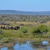 Zanzibar i safari Tanzanija