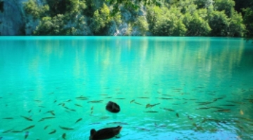 From Trogir: Plitvice Lakes daily Group tour with entrance ticket included