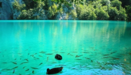 Plitvice Lakes Guided Group Tour from Split or Trogir with Gray Line Croatia