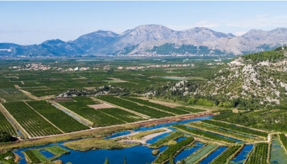 Jednodnevni školski izlet u dolinu Neretve: Berba mandarina i vožnja lađama (OŠ Ravne Njive)