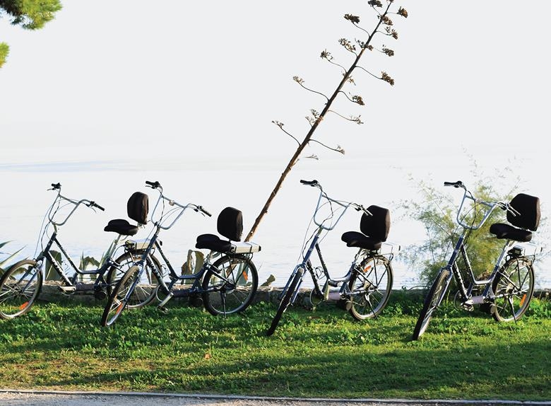 Reliable and affordable bike rental service for travelers who want to