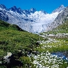 Švicarska