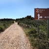 Anita bay Makarac island Brač 3