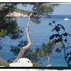 Kalober Bay Hvar 12