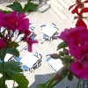 Riviera Apartments 2