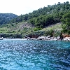 Medvidina Beach  11