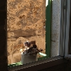 Apartment Augusto 3