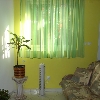 Apartman Franičević 5