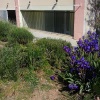 Apartman Marjan - Relax