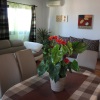 Apartmani KIke - Kike 1