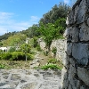 Villa Blanka near Split - House Blanka